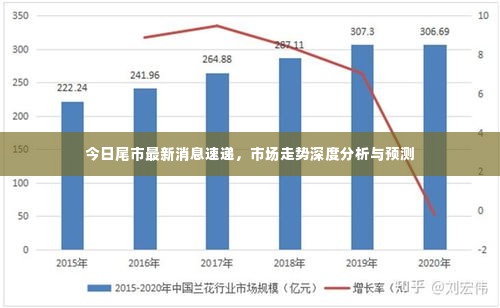 今日尾市最新消息速递，市场走势深度分析与预测