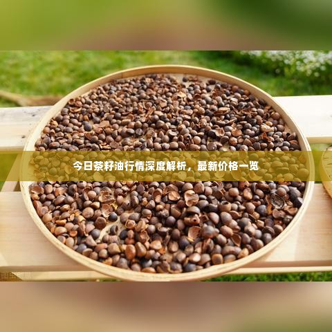 今日茶籽油行情深度解析，最新价格一览
