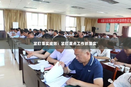 紧盯落实成效：紧盯重点工作抓落实 