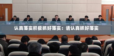 认真落实积极抓好落实：请认真抓好落实 