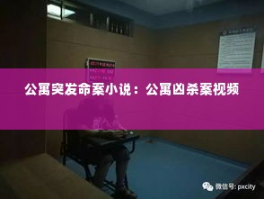 公寓突发命案小说：公寓凶杀案视频 