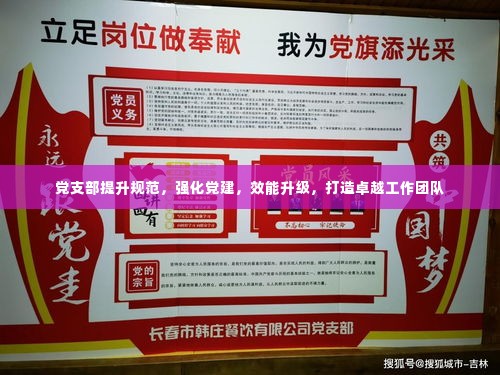 党支部提升规范，强化党建，效能升级，打造卓越工作团队