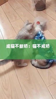 杳无音信 第2页