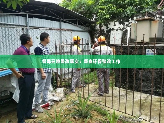 督导环境整改落实：督查环保整改工作 