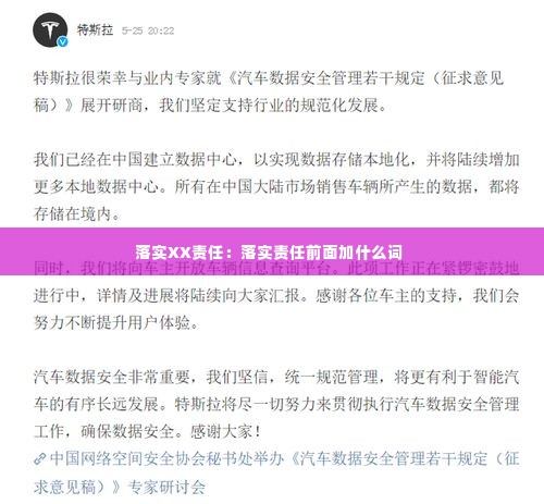 落实XX责任：落实责任前面加什么词 