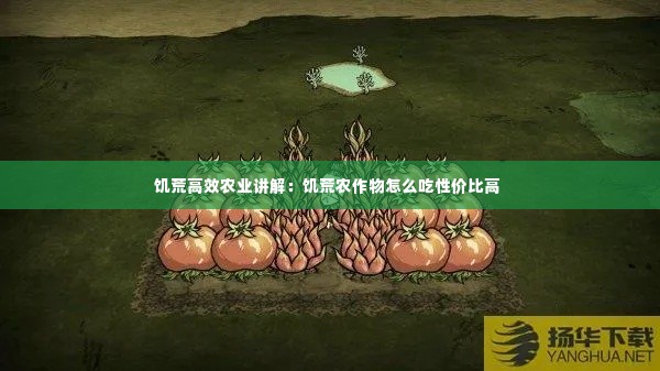 饥荒高效农业讲解：饥荒农作物怎么吃性价比高 