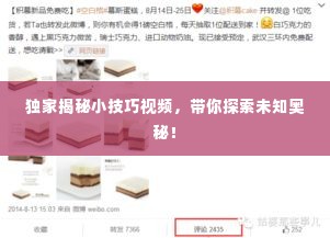 独家揭秘小技巧视频，带你探索未知奥秘！