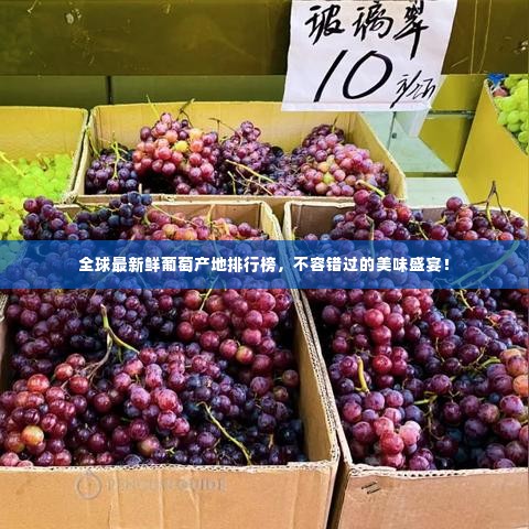 全球最新鲜葡萄产地排行榜，不容错过的美味盛宴！