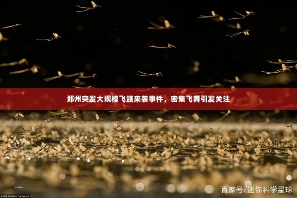 郑州突发大规模飞蛾来袭事件，密集飞舞引发关注