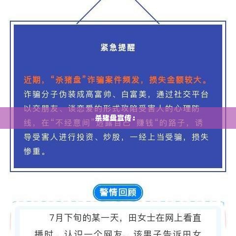 杀猪盘宣传： 
