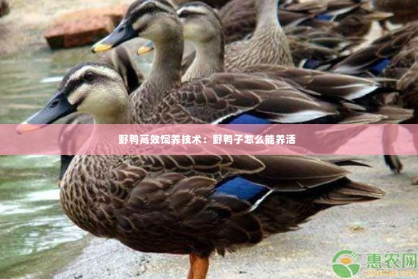 心慌意乱 第2页