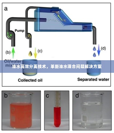 犯而不校 第2页