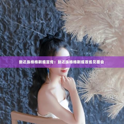 新还珠格格剧组宣传：新还珠格格剧组首场见面会 