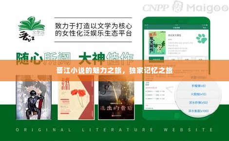 晋江小说的魅力之旅，独家记忆之旅