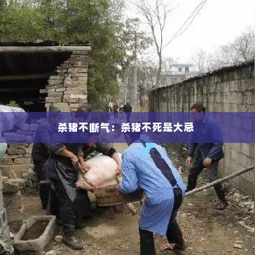 杀猪不断气：杀猪不死是大忌 