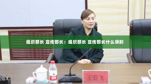 组织部长 宣传部长：组织部长 宣传部长什么级别 