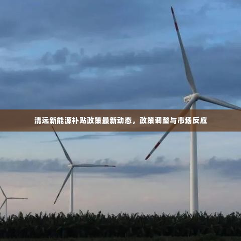 清远新能源补贴政策最新动态，政策调整与市场反应