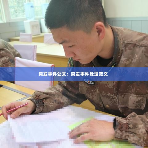 突发事件公文：突发事件处理范文 