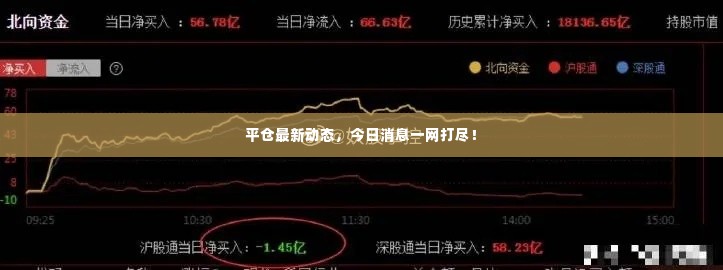 平仓最新动态，今日消息一网打尽！