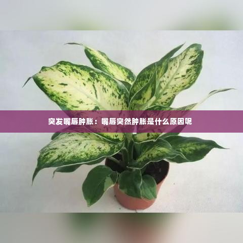 突发嘴唇肿胀：嘴唇突然肿胀是什么原因呢 