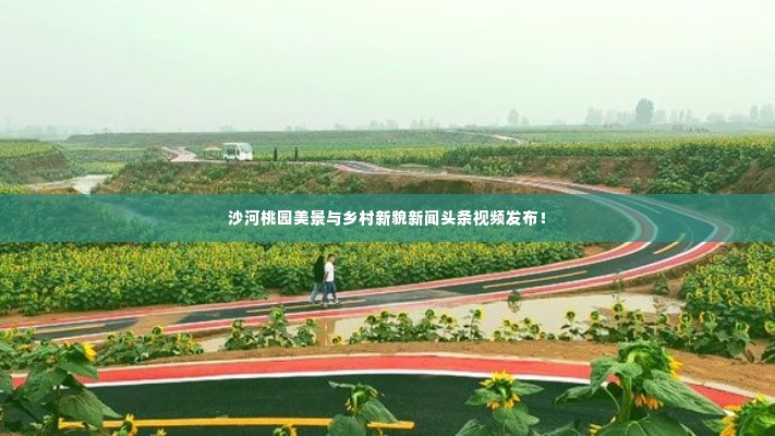 沙河桃园美景与乡村新貌新闻头条视频发布！