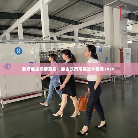 政府惠企举措落实：惠企政策落实基本情况2020 