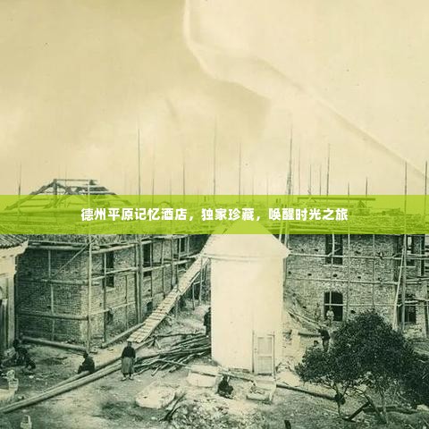 物以稀为贵 第2页