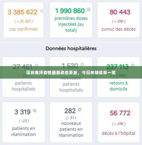 深圳南坪疫情最新动态更新，今日关键信息一览