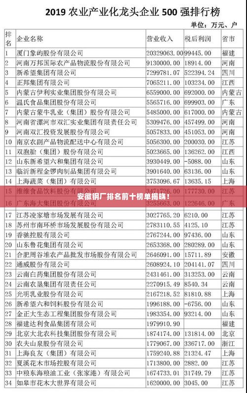 安徽钢厂排名前十榜单揭晓！
