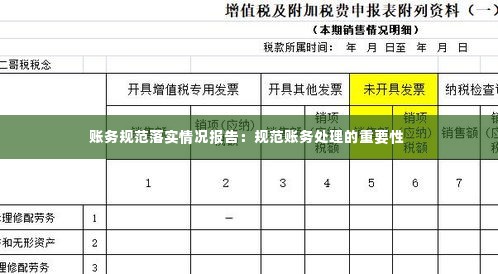 账务规范落实情况报告：规范账务处理的重要性 
