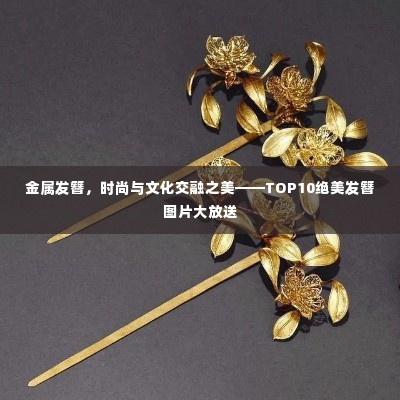 金属发簪，时尚与文化交融之美——TOP10绝美发簪图片大放送