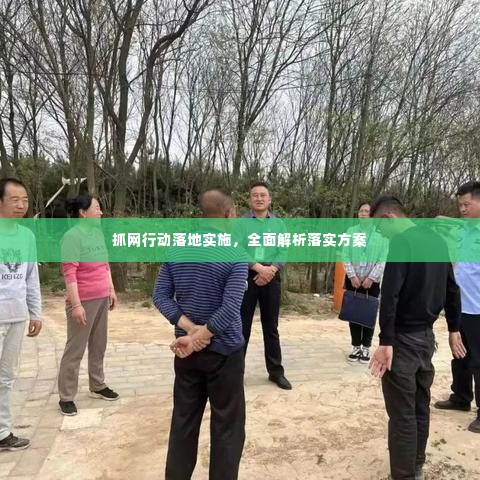抓网行动落地实施，全面解析落实方案