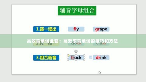 高效背单词全套：高效率背单词的技巧和方法 
