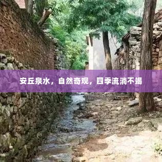安丘泉水，自然奇观，四季流淌不竭