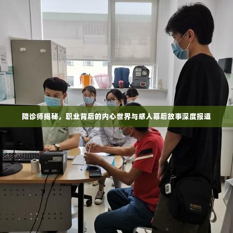 陪诊师揭秘，职业背后的内心世界与感人幕后故事深度报道