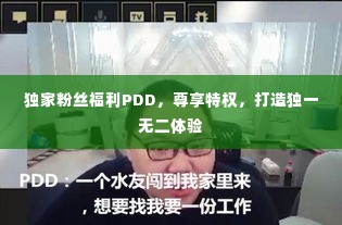 独家粉丝福利PDD，尊享特权，打造独一无二体验