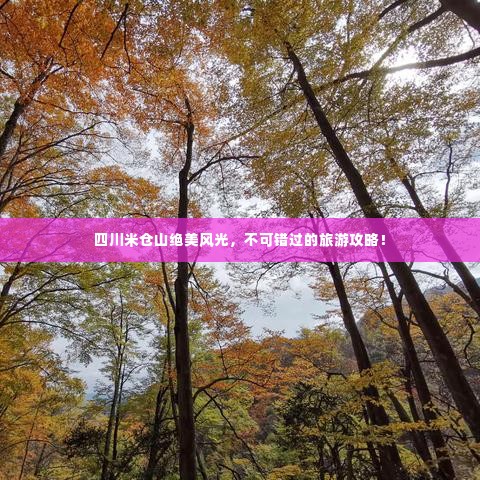四川米仓山绝美风光，不可错过的旅游攻略！