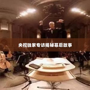 央视独家专访揭秘幕后故事