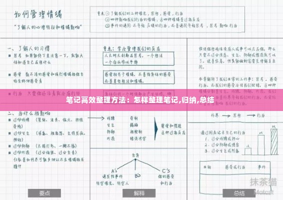 风流儒雅 第2页
