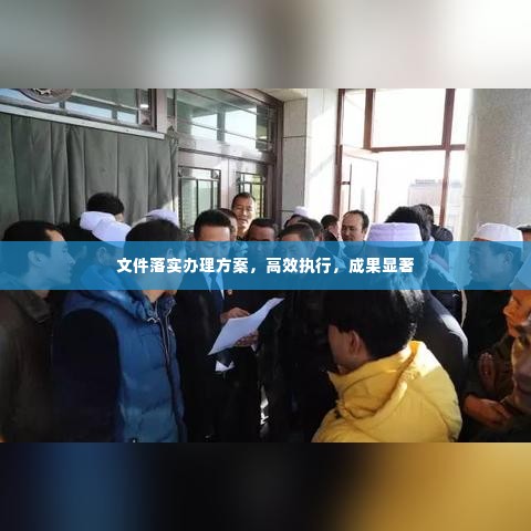 文件落实办理方案，高效执行，成果显著