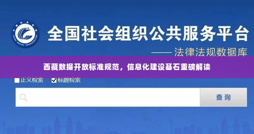 西藏数据开放标准规范，信息化建设基石重磅解读
