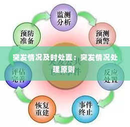 突发情况及时处置：突发情况处理原则 
