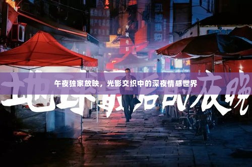 午夜独家放映，光影交织中的深夜情感世界