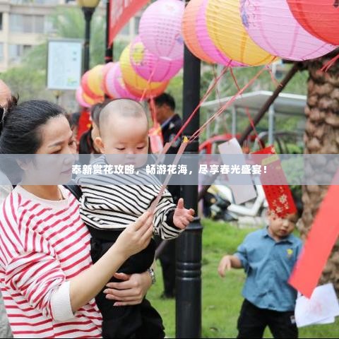 奉新赏花攻略，畅游花海，尽享春光盛宴！