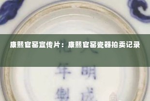 康熙官窑宣传片：康熙官窑瓷器拍卖记录 