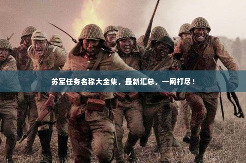 苏军任务名称大全集，最新汇总，一网打尽！