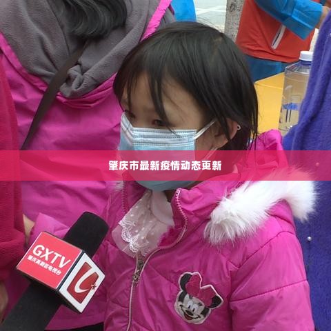 肇庆市最新疫情动态更新