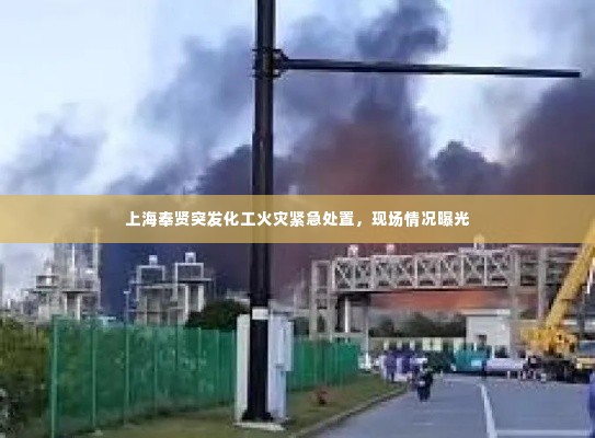 上海奉贤突发化工火灾紧急处置，现场情况曝光