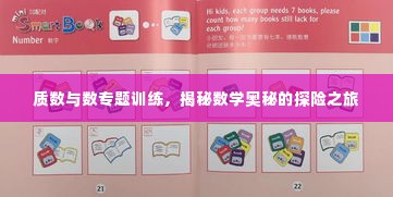 质数与数专题训练，揭秘数学奥秘的探险之旅