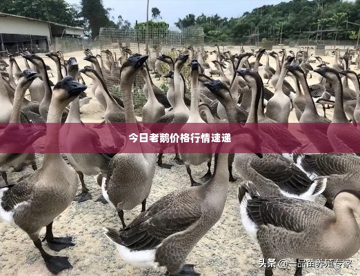 富贵功名 第2页